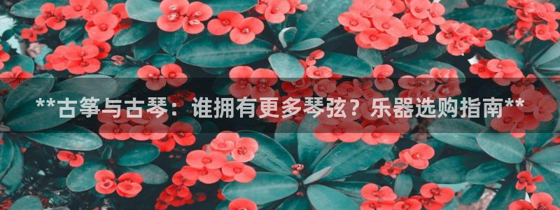 凯发k8国际app