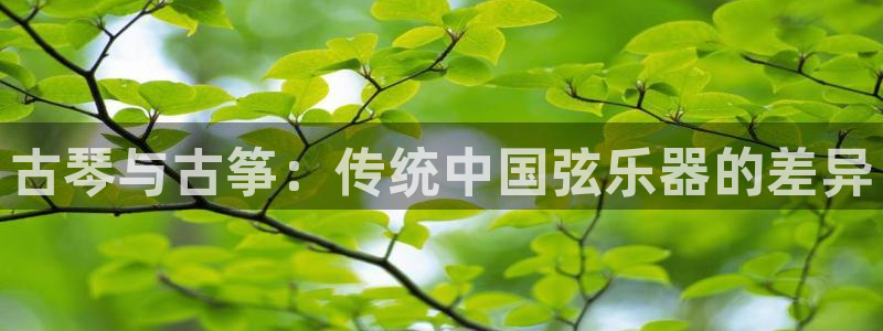 凯发k8官方