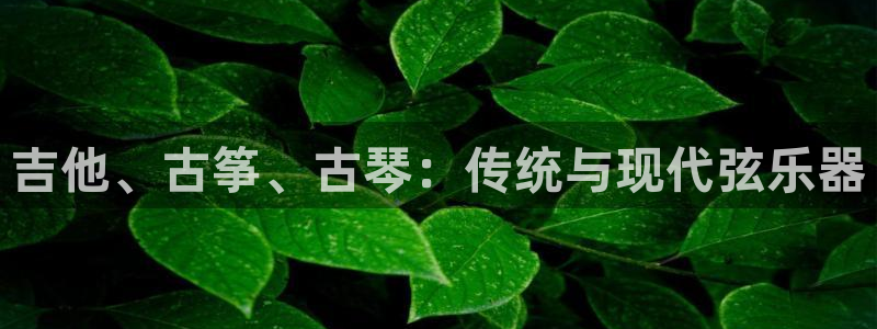 凯发娱乐唯一官网