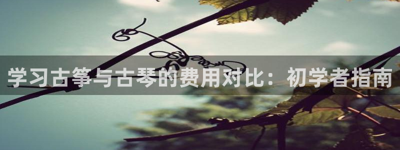 凯发k8娱乐官网网址中心