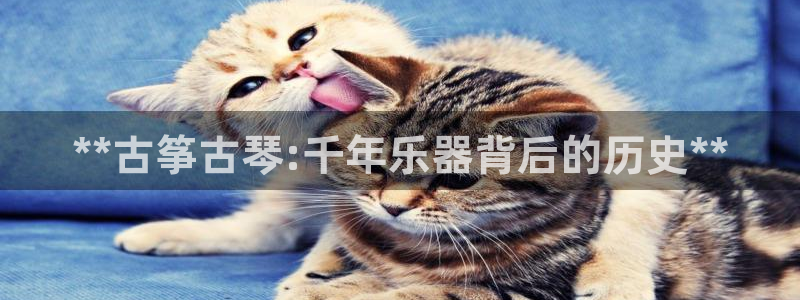 凯发k8娱乐是国内平台?