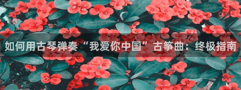凯发网址多少