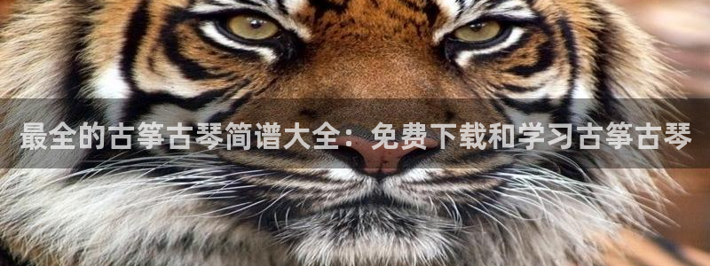 凯发k8娱乐官方下载