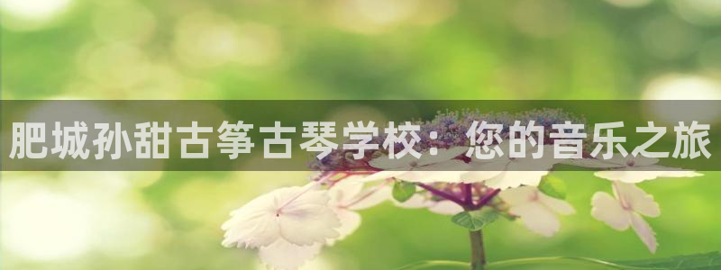 凯发是什么意思
