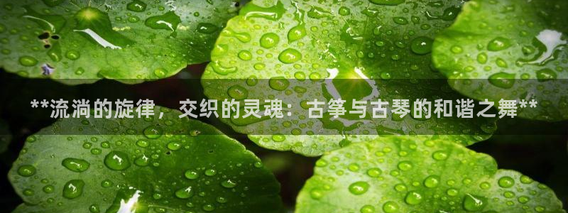 凯发官网入口首页