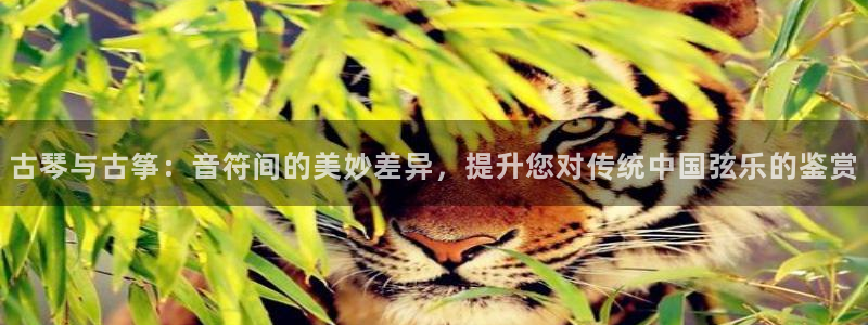 凯发网址直营