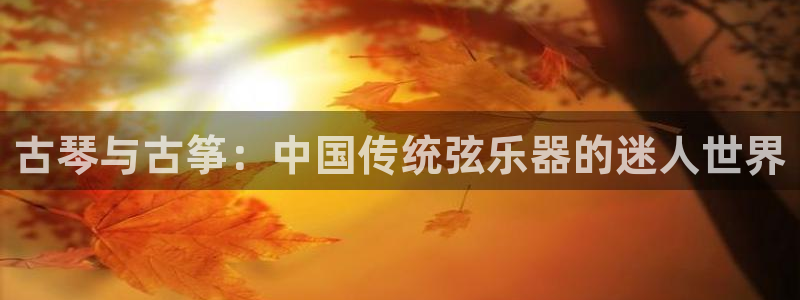 凯发国际网址官网