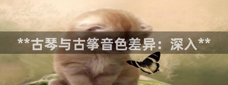 凯发官网|认准kpm