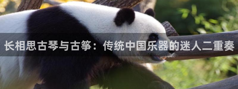 凯发线上app苹果版下载