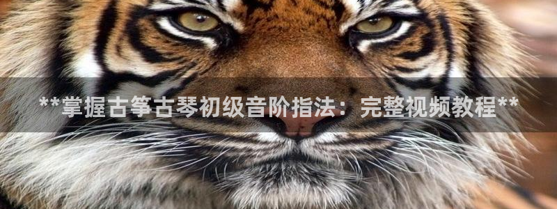凯发k8官方网娱乐官方