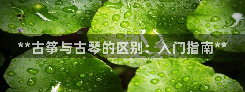 凯发旗舰客户端