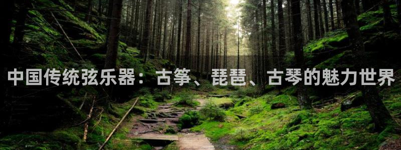 凯发手机官网客户端