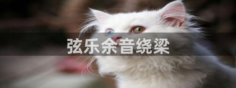 凯发k8娱乐旗舰厅