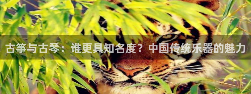 凯发平台网址