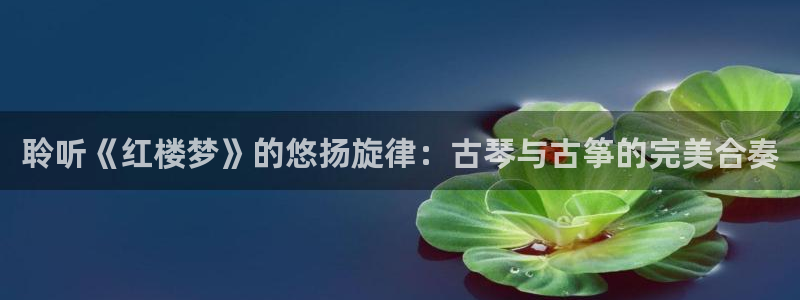 凯发网址多少