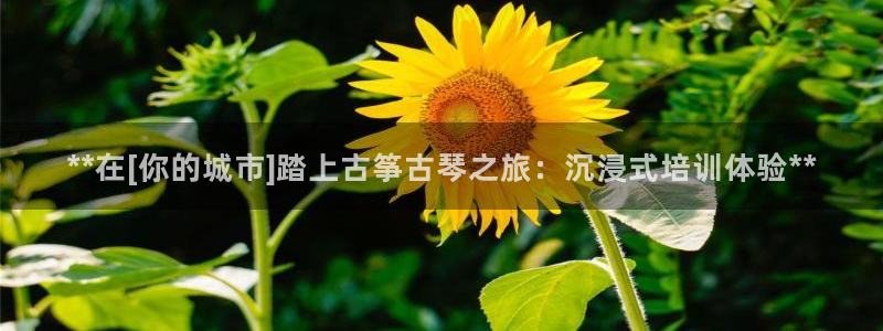 凯发k8客户端