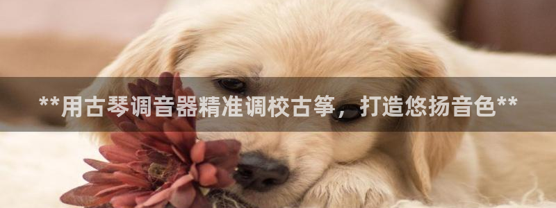 凯发app是干嘛的
