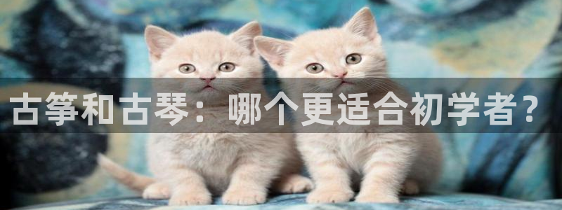 凯发娱乐k8下载