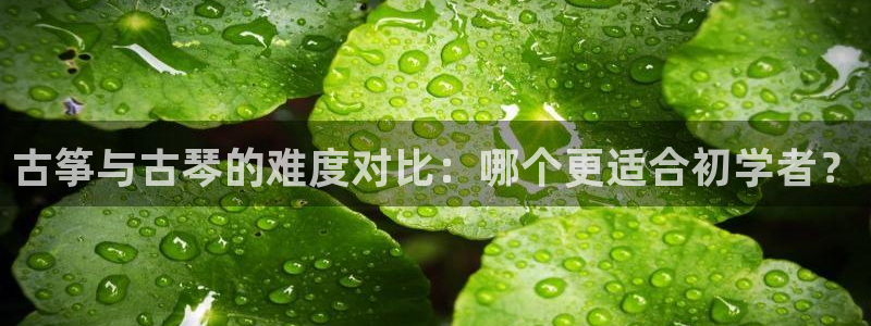凯发国际k8官网登录