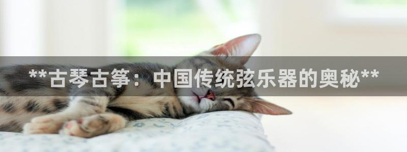 凯发娱网址是什么