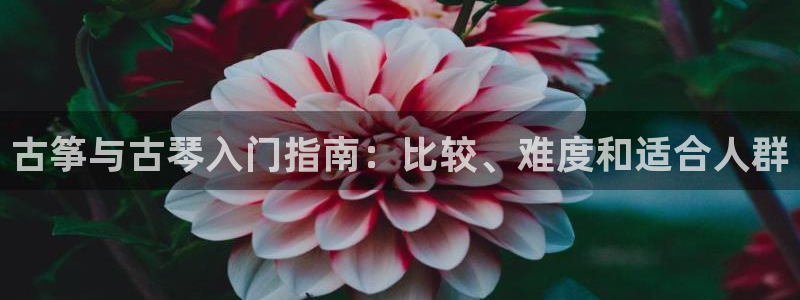 凯发k8娱乐是什么平台