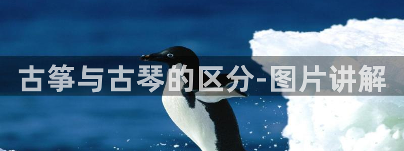 凯发娱乐k8国际