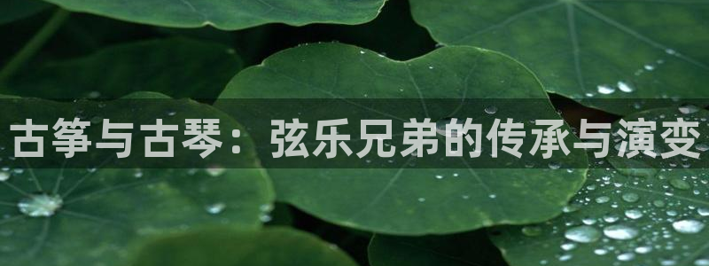 凯发国际平台登录