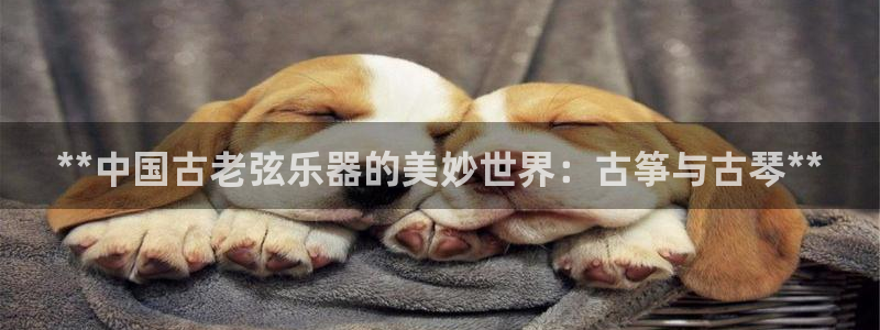凯发国际平台首页