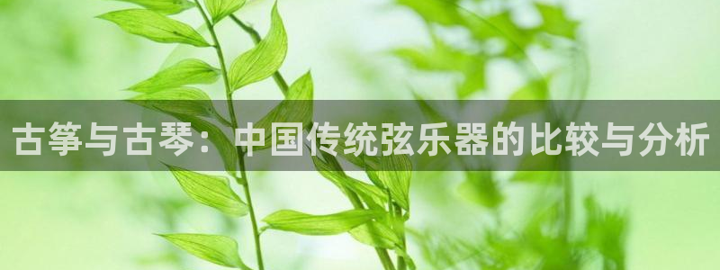 l凯发国际官网