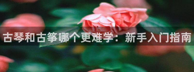 凯发国际网站官网
