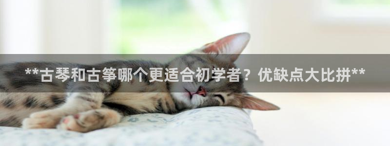 凯发注册手机版官网