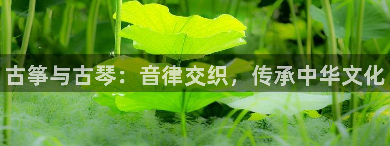 凯发k8网站是多少