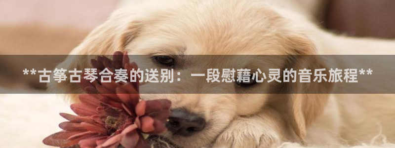 凯发app可信吗