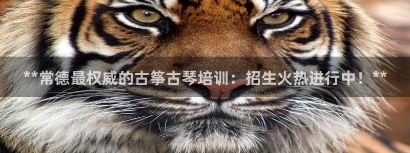 凯发官方首页