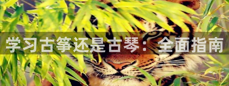 凯发官方网站是多少