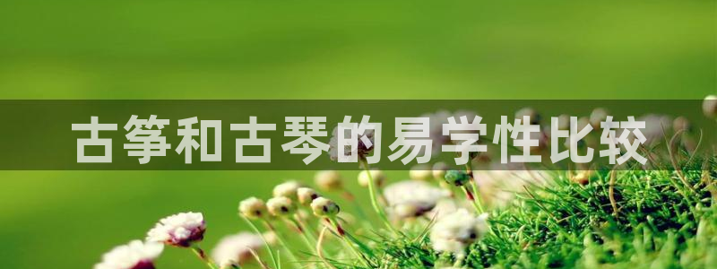 凯发网网站