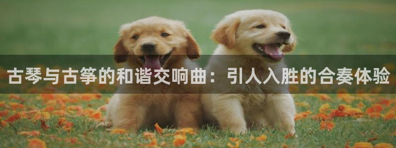 凯发k8天生赢家·一触即发