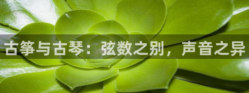 凯发k8国际娱乐版