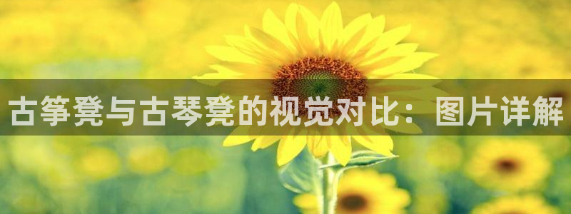 凯发K8旗舰厅