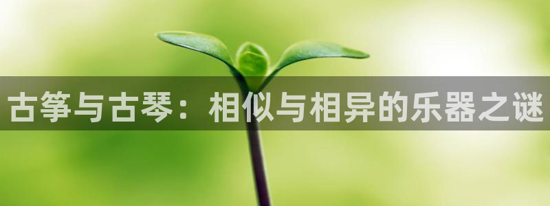 凯发k8娱乐官网入