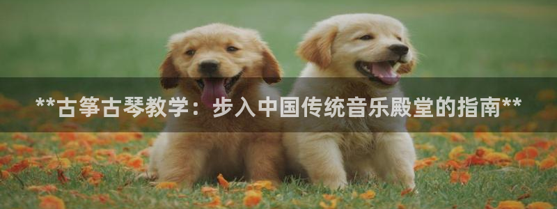 凯发旗舰网站