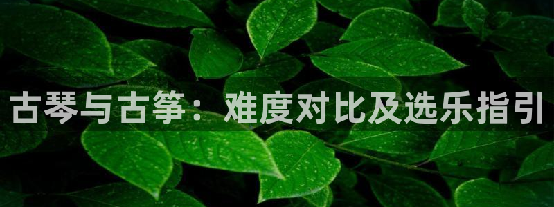 凯发是什么意思