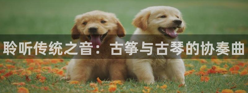 凯发k8国际 不能提款了