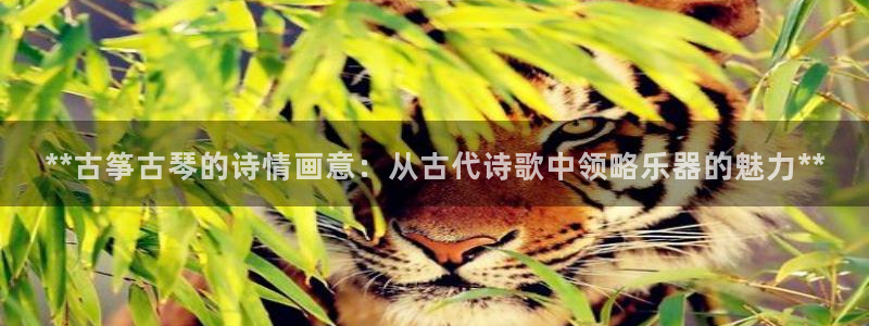 凯发首页