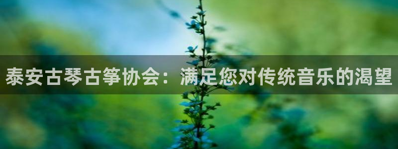 凯发k8官方网娱乐官方真