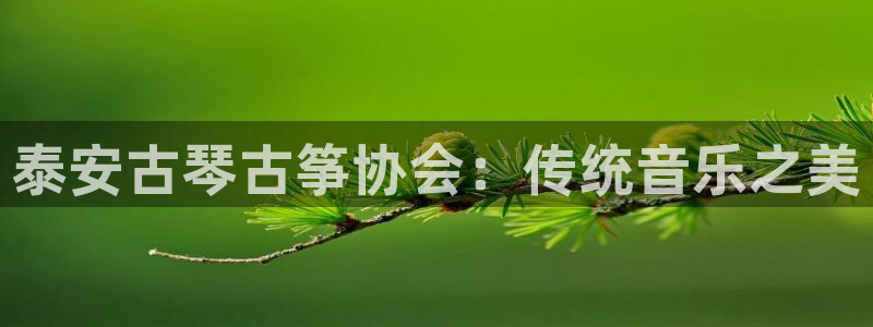 凯发k8555|手机版