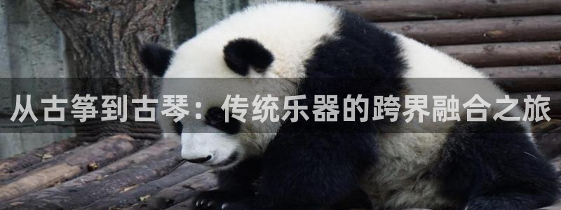 凯发手机官网客户端