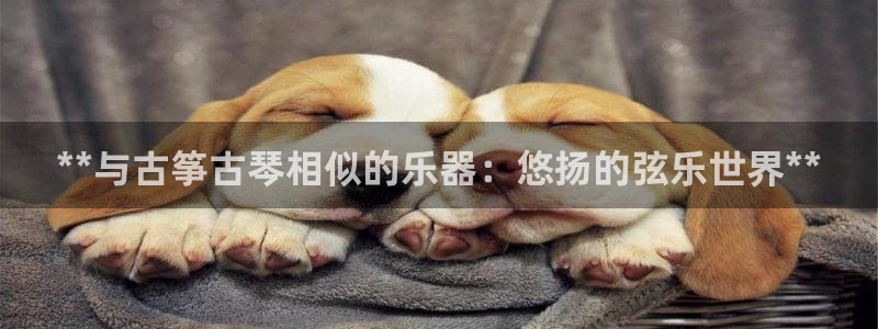 凯发网娱乐官网国际