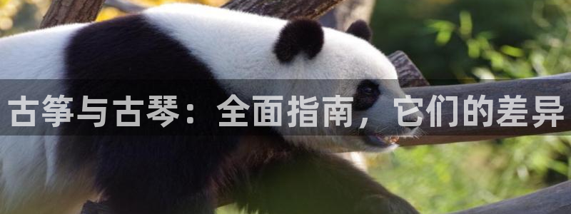 凯发k8娱乐官网最新版本