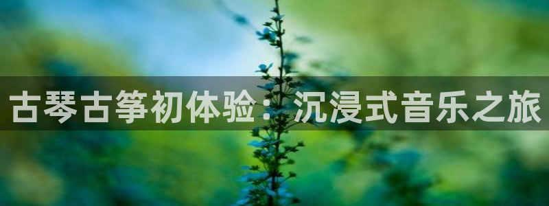 凯发国际亚洲有限公司